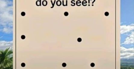 698483976 122215887464557892 3317732838190681975 n