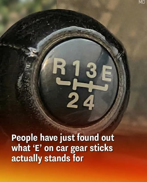 705607842 1012171428048930 3197158829249347207 n