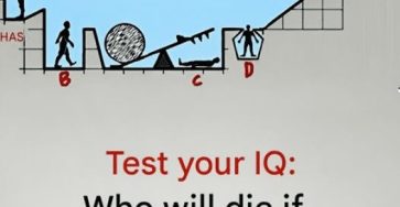 706197465 122181131024595829 7853741464921094608 n