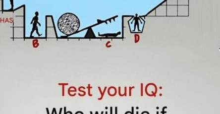 706197465 122181131024595829 7853741464921094608 n
