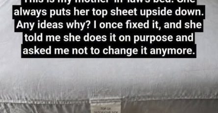 749354506 1582267440275722 2315527031731975934 n