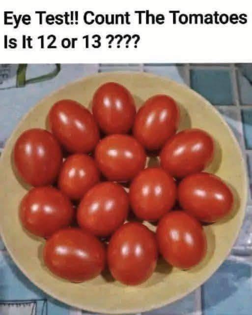 756779530 122200327454912893 2288073057390540503 n