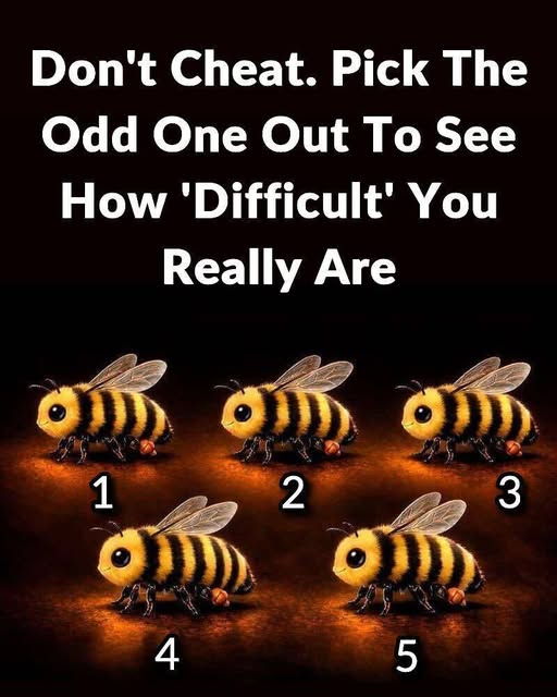 759384189 122095712949420205 5014984596370137663 n