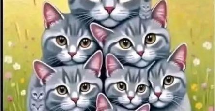 767068636 122314017374245762 4366859685188115756 n